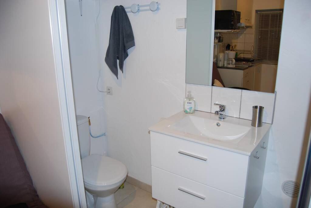 L'Atelier A 100 M De Tarbes Sud Villa Laloubere ภายนอก รูปภาพ